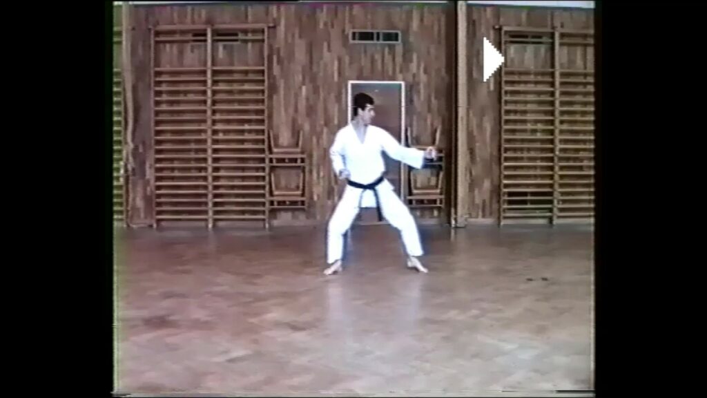 Video Pinan Nidan Kata Wado-Ryu