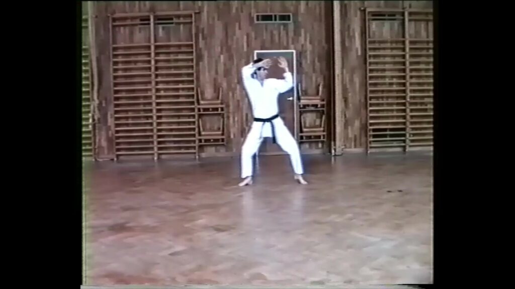 Video Pinan Yodan Kata Wado Ryu