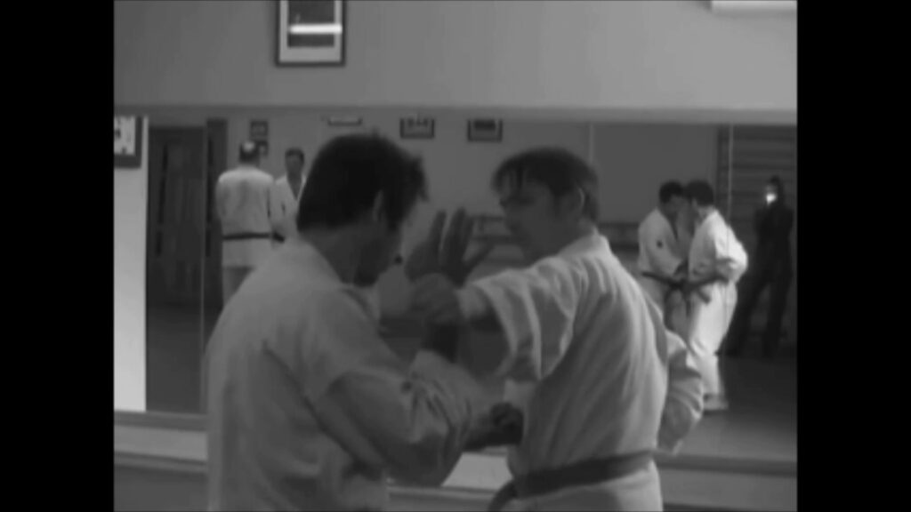 "wodoru-video", a promotional film made by Klaas for the Wado-Ryu Karate Club Moscow