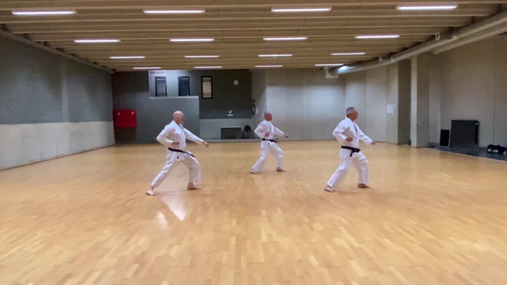 Kihon Kata Nr1 wado-ryu karate