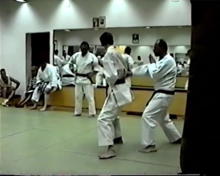 Wado-Ryu Karate Training Budapest 1994