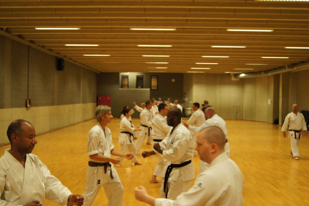 Photo Wado-Ryu Karate training Leuven 2018
