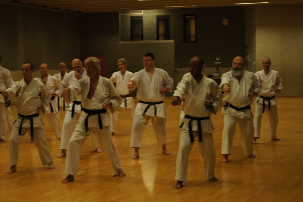 Photos Wado-Ryu Karate training Leuven 2018