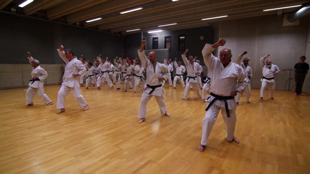 Wado-Ryu Karate training Leuven 2018 Part-Final
