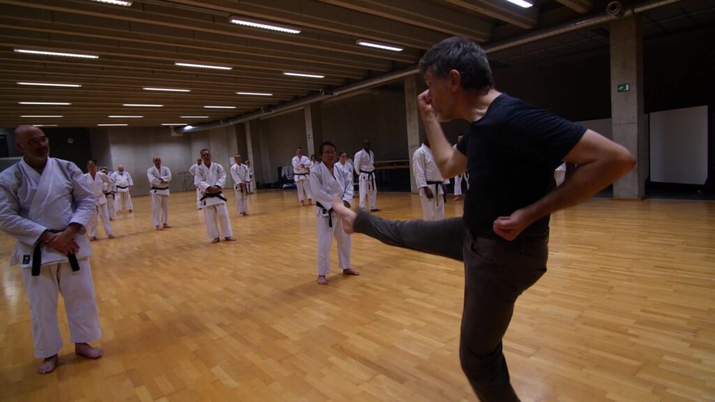 Wado-Ryu Karate training Leuven 2018 Part-Five