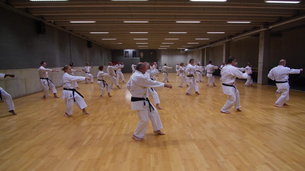 Wado-Ryu Karate training Leuven 2018 Part-One