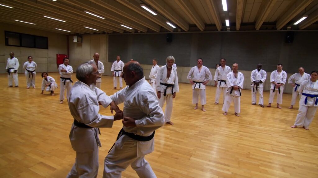 Wado-Ryu Karate training Leuven 2018 Part-Three
