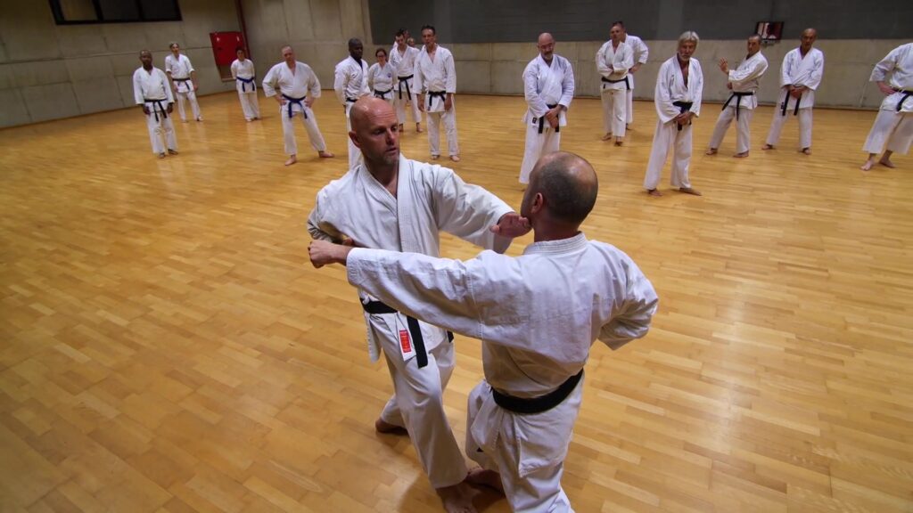 Wado-Ryu Karate training Leuven 2018 Part-Two