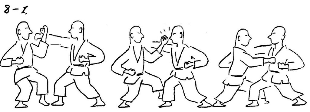 Yakusoku Kumite Wado Ryu 8.1