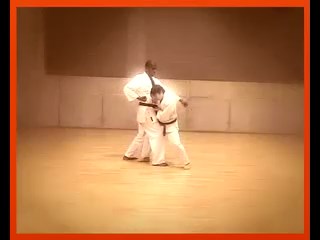 Yakusoku Kumite Wado Ryu 2.1-2.2-2.3